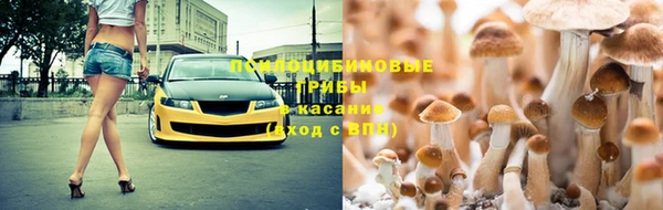 a pvp Лагань